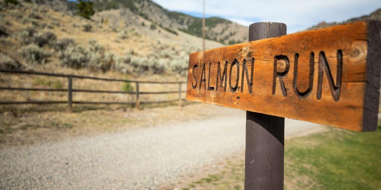 Vila Twin Peaks Guest Ranch Salmon Exteriér fotografie